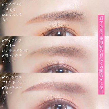 マルチマスカラ/WHOMEE/眉マスカラを使ったクチコミ(9枚目)