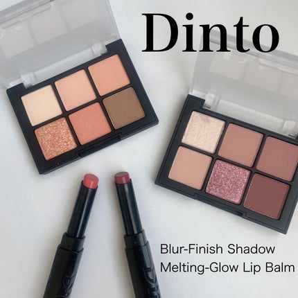 ブラーフィニシュシャドウパレット/Dinto/アイシャドウパレットを使ったクチコミ(1枚目)