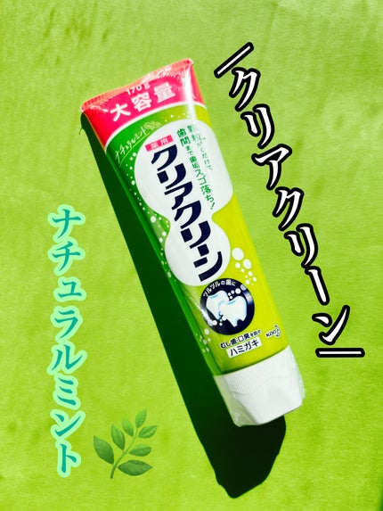 クリアクリーン (薬用ハミガキ) ナチュラルミント BIGサイズ/クリアクリーン/歯磨き粉の画像