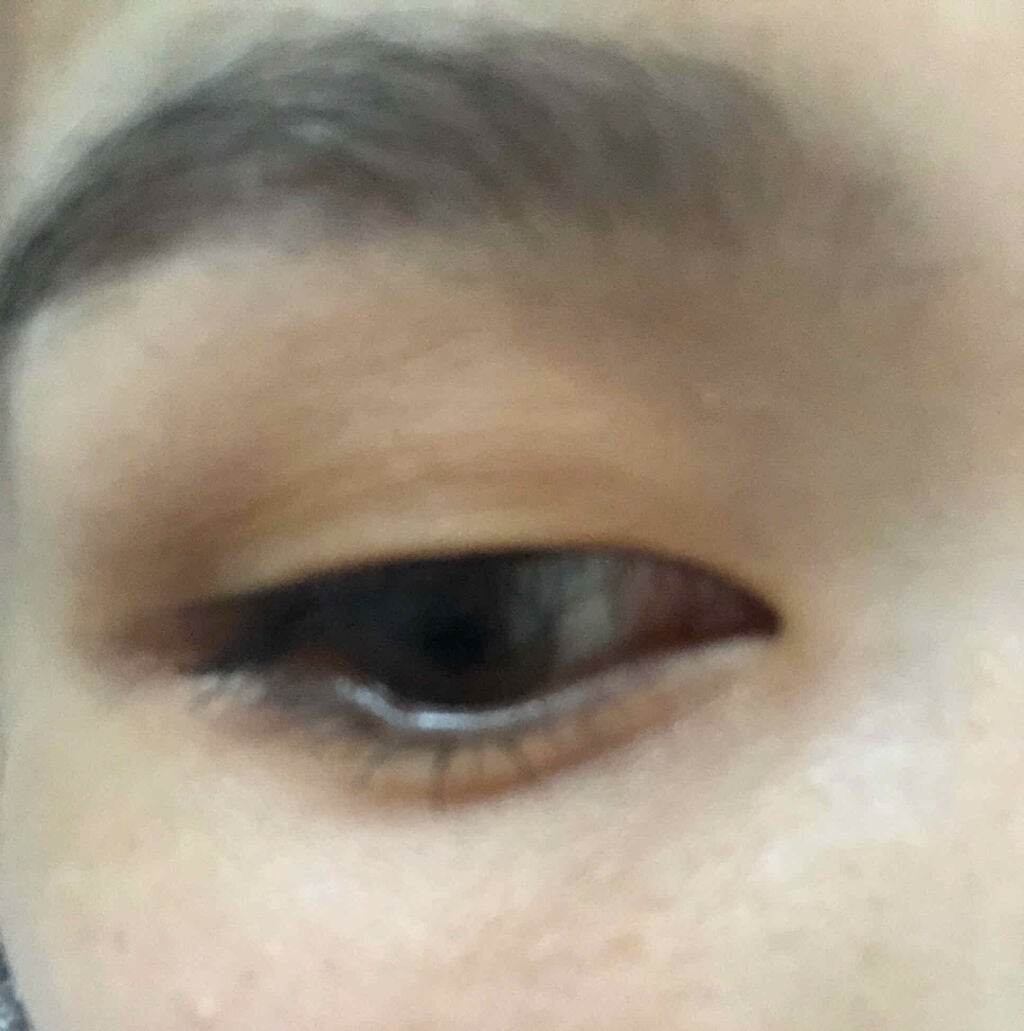 novo アイシャドウパレット/NOVO/アイシャドウパレットを使ったクチコミ(1枚目)