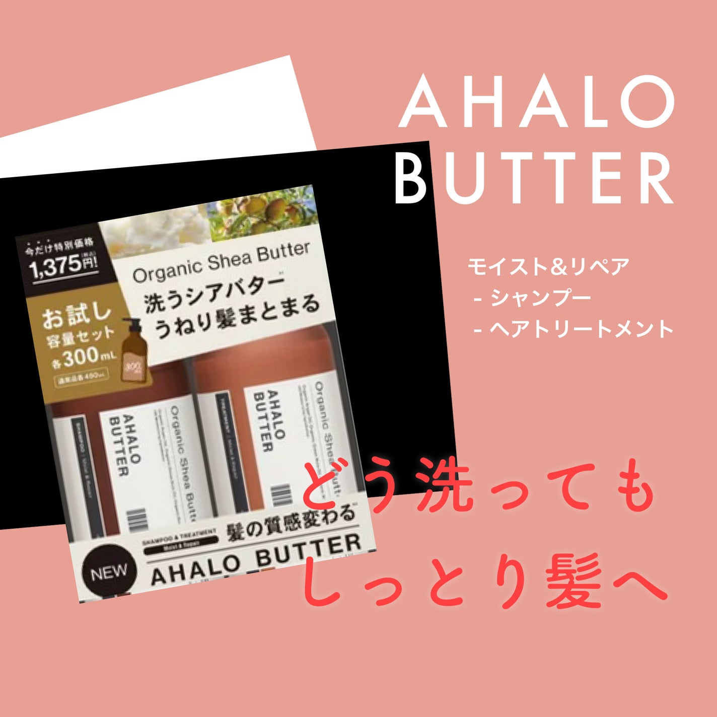 モイスト&リペア シャンプー/ヘアトリートメント/AHALO BUTTER/市販シャンプーを使ったクチコミ(1枚目)