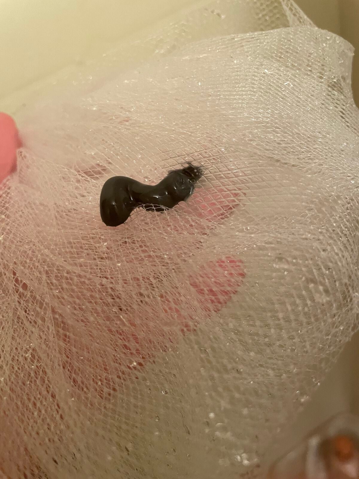 ラボ V 酵素洗顔フォーム ブラック/unlabel/洗顔フォームを使ったクチコミ(3枚目)