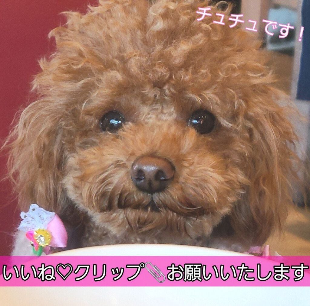 スリーピングパック ヒアルロニック/JMsolution/洗い流すパック・マスクを使ったクチコミ(3枚目)