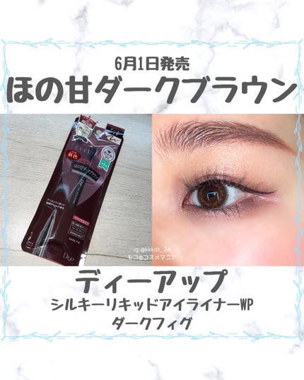シルキーリキッドアイライナーWP/D-UP/リキッドアイライナーを使ったクチコミ(1枚目)
