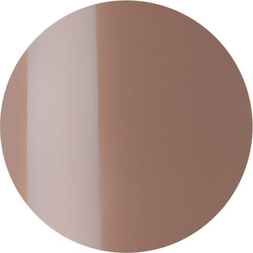 カラージェル F104 ベージュオークル #08