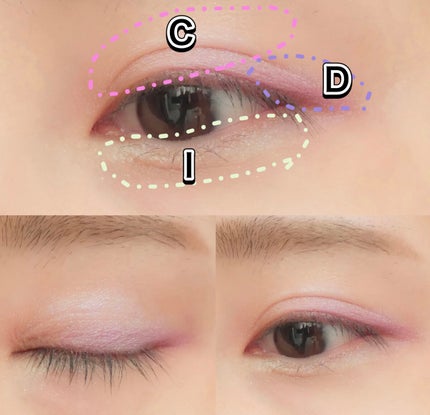 エクスプローラ12色 動物アイシャドウパレット/PERFECT DIARY/アイシャドウパレットを使ったクチコミ(9枚目)