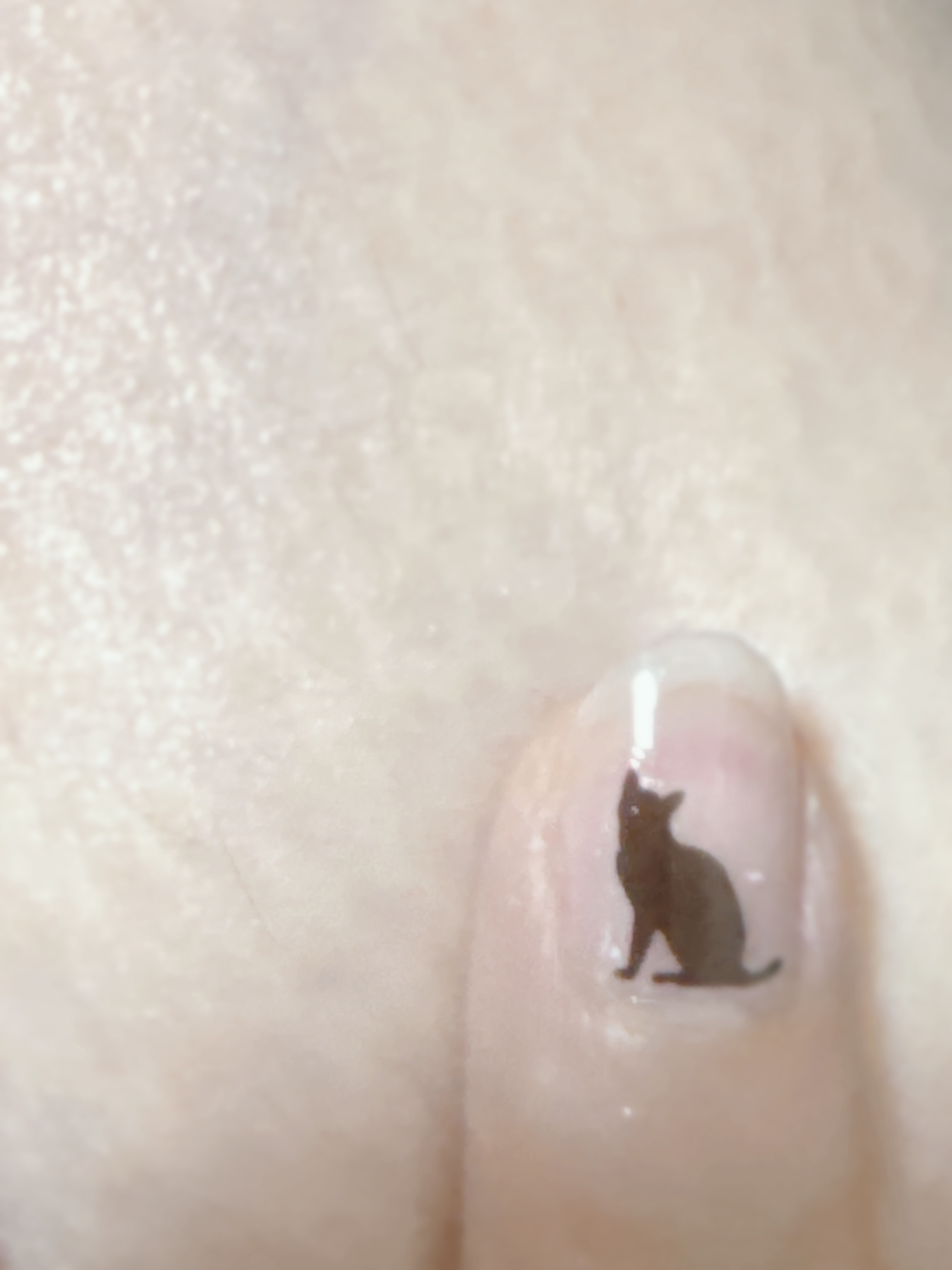 ベース＆トップコートⅡ/デュカート/ネイルトップコートを使ったクチコミ（2枚目）