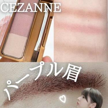 すう｜シミ毛穴レス韓国美肌クリエイター on LIPS 「CEZANNEノーズアンドアイブローパウダー✼••┈┈••✼•..」（1枚目）