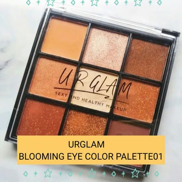 UR GLAM　BLOOMING EYE COLOR PALETTE/U R GLAM/アイシャドウパレットを使ったクチコミ（1枚目）