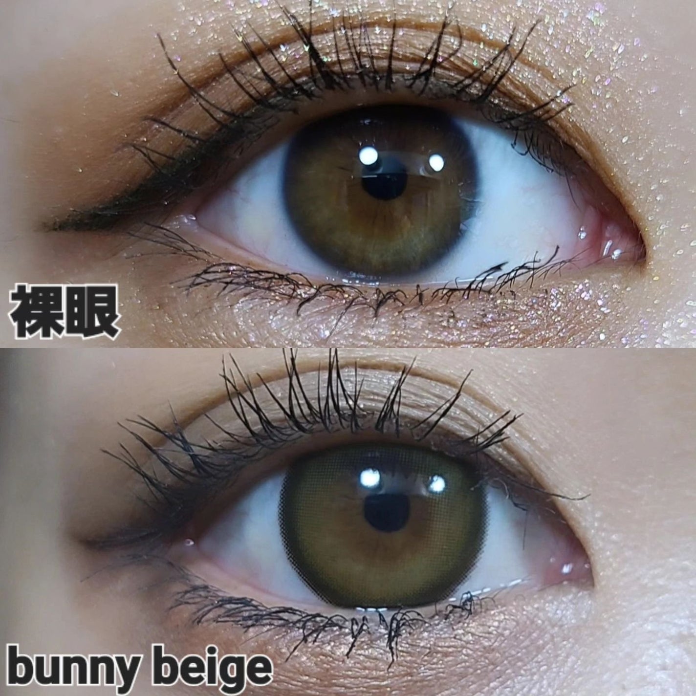 ティミド ワンデー/Timido(ティミド)/ワンデー(1DAY)カラコンを使ったクチコミ(6枚目)