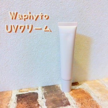 Waphyto UVクリームのクチコミ「🤍Waphyto  UVクリーム

愛知県東三河の植物
×
サイエンス
から生まれた
Waph.....」（1枚目）