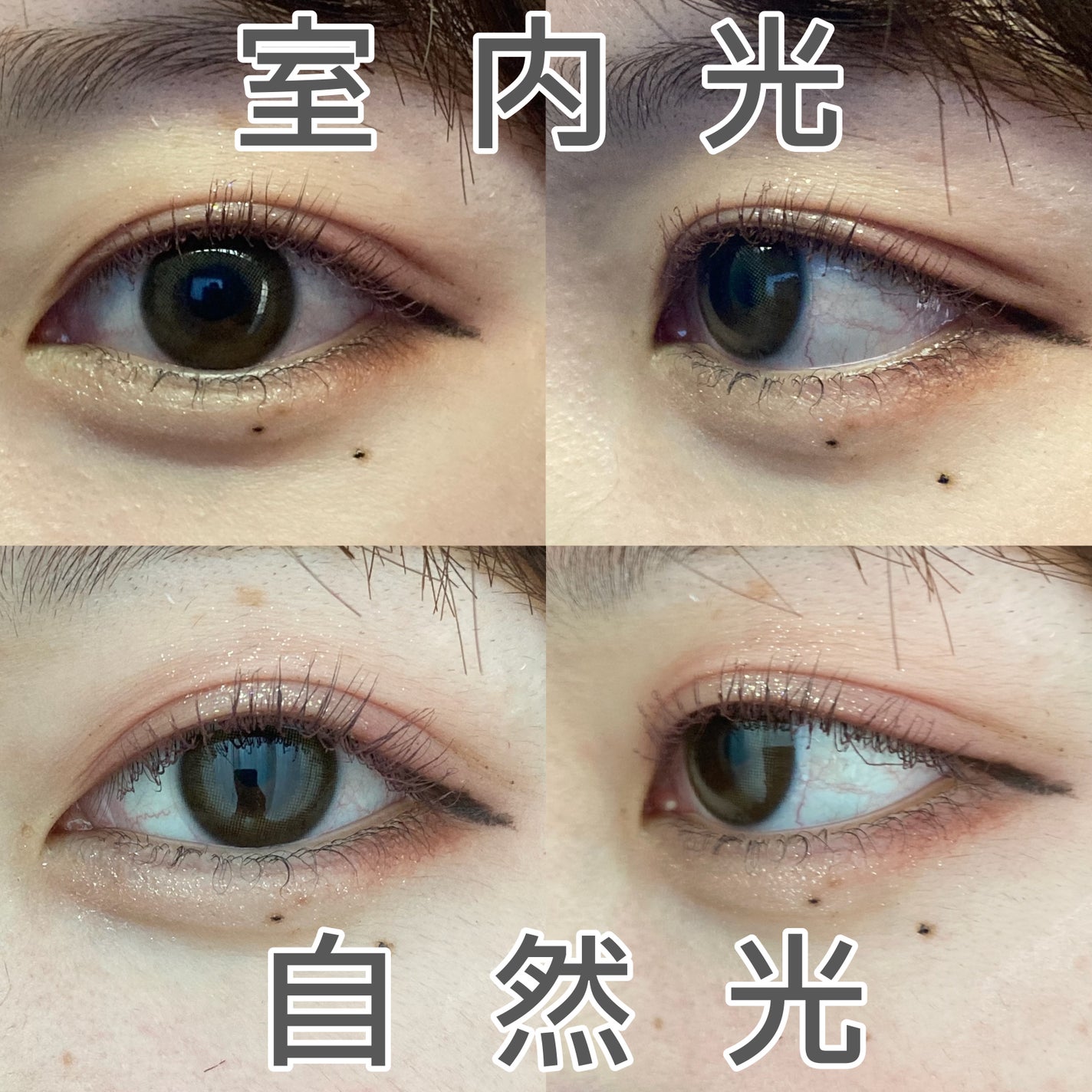 Angelcolor Bambi Series Vintage 1day/AngelColor/ワンデー(1DAY)カラコンを使ったクチコミ(3枚目)