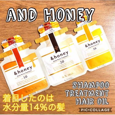 ディープモイスト シャンプー1.0／ヘアトリートメント2.0/&honey/シャンプー・コンディショナーを使ったクチコミ（1枚目）