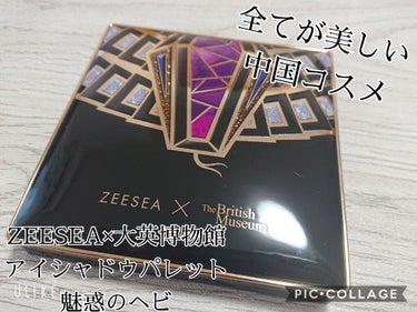 大英博物館 エジプトシリーズ アイシャドウパレット/ZEESEA/アイシャドウパレットを使ったクチコミ（1枚目）