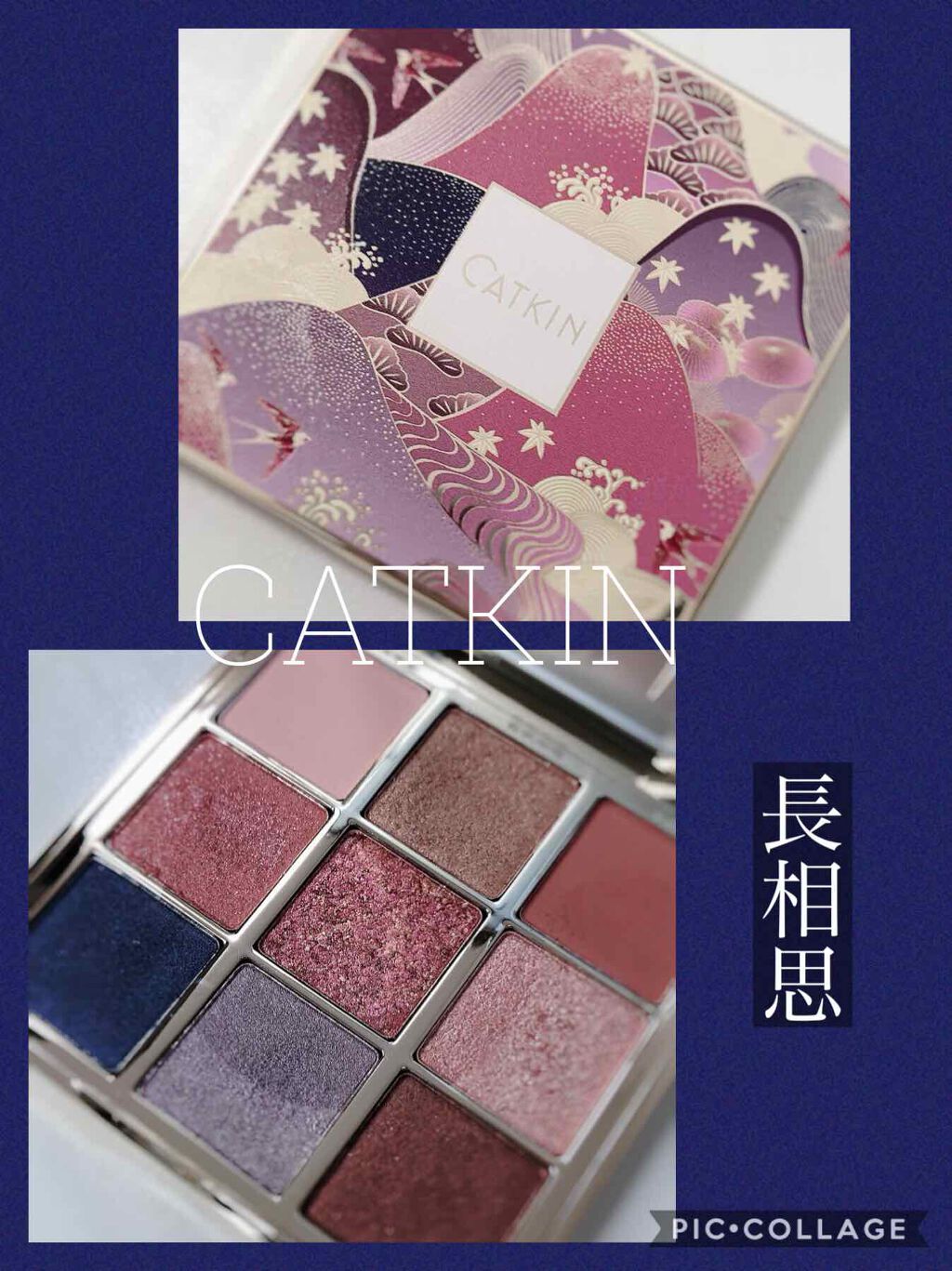 長相思シリーズ 9色アイシャドウパレット/CATKIN/アイシャドウパレットを使ったクチコミ（1枚目）