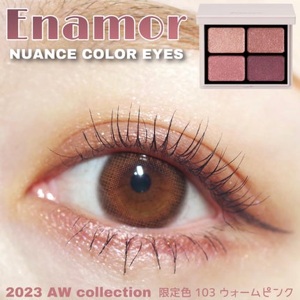 ニュアンスカラーアイズ/Enamor/アイシャドウパレットを使ったクチコミ(1枚目)