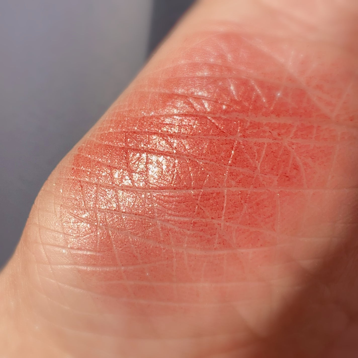 ラズル アイカラー/エレガンス ラズル /単色アイシャドウを使ったクチコミ(4枚目)