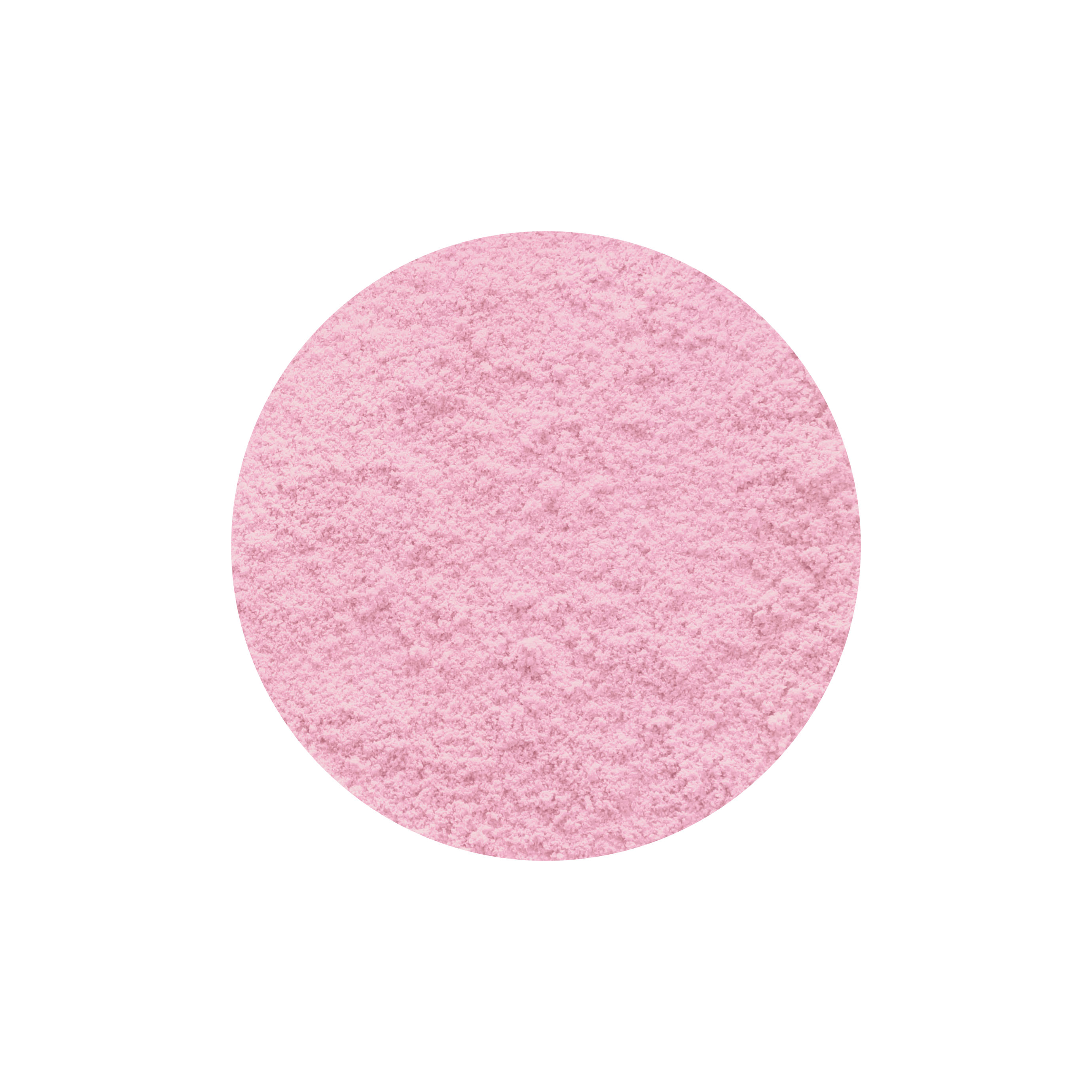 アナ スイ ルース フェイス パウダー (ミニ) 300