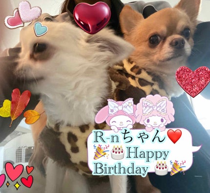 フェミニンウォッシュ シャワースプラッシュ/PH JAPAN(ピイ・エイチ・ジャパン) /デリケートゾーンケアを使ったクチコミ(1枚目)