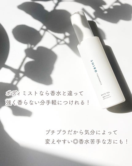 アイスミント ボディミスト/SHIRO/香水(その他)を使ったクチコミ(9枚目)
