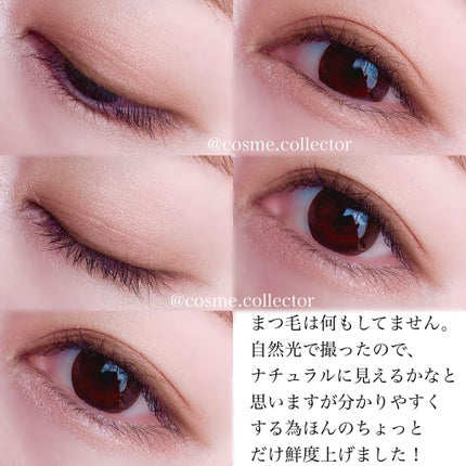 コントゥアリング アイシャドウ/DECORTÉ/アイシャドウパレットを使ったクチコミ(6枚目)