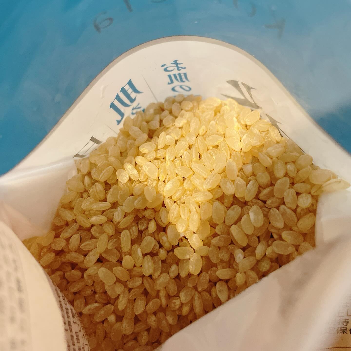 KoMeTa 澄 SUMU/ミツハシライス/食品を使ったクチコミ（2枚目）