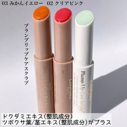 プランプリップケアスクラブ/キャンメイク/リップスクラブを使ったクチコミ(4枚目)