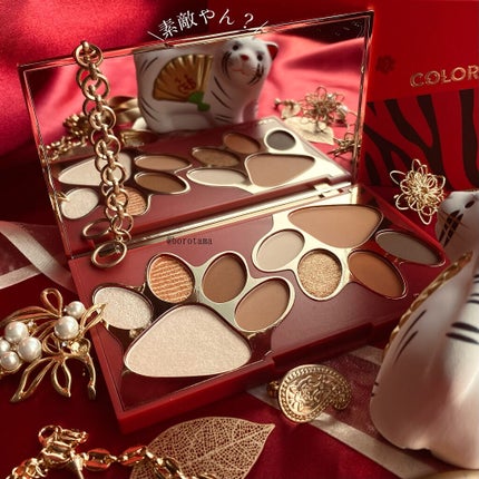 トラ十色アイシャドウパレット/COLORKEY/アイシャドウパレットを使ったクチコミ(2枚目)