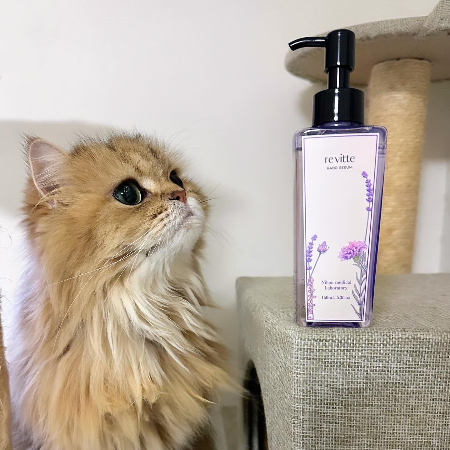 ハンド セラム クリーム /revitte/ハンドクリームを使ったクチコミ（1枚目）