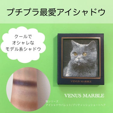 Venus Marble アイシャドウキャットシリーズ ブリティッシュショートヘア/Venus Marble/アイシャドウパレットを使ったクチコミ（1枚目）