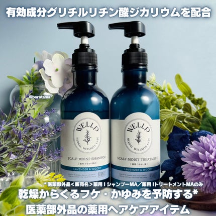薬用スカルプケアシャンプー/トリートメント モイスト/WELLP/市販シャンプーを使ったクチコミ(2枚目)