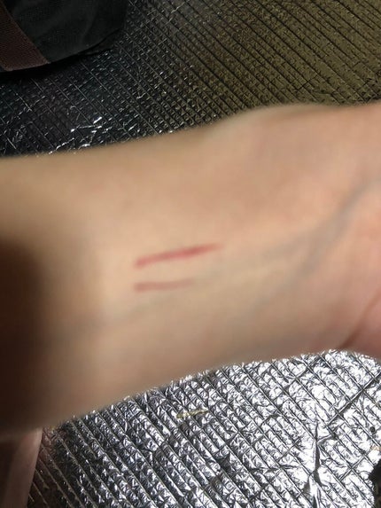 プレイフル リキッドアイライナー/BLEND BERRY/リキッドアイライナーを使ったクチコミ(3枚目)