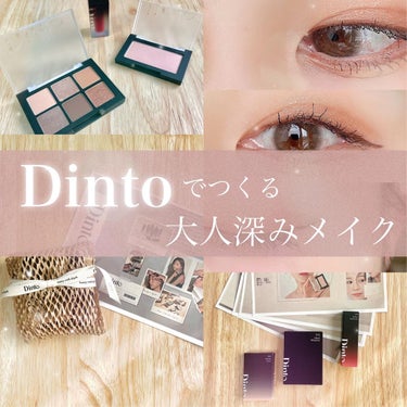 ブラーフィニシュシャドウパレット/Dinto/アイシャドウパレットを使ったクチコミ（1枚目）