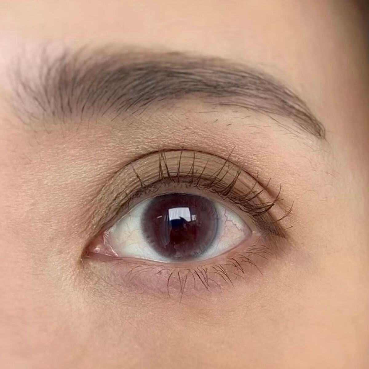 ニュアンス マット クリエイター/Visée/アイシャドウパレットを使ったクチコミ(3枚目)