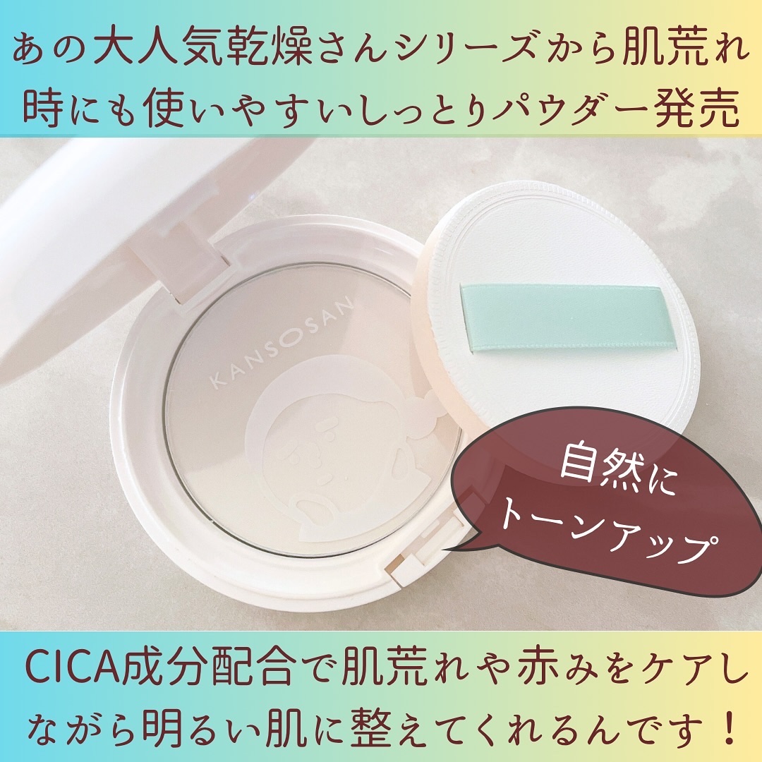 保湿力プロテクトパウダー ブライトシカ/乾燥さん/プレストパウダーを使ったクチコミ（2枚目）