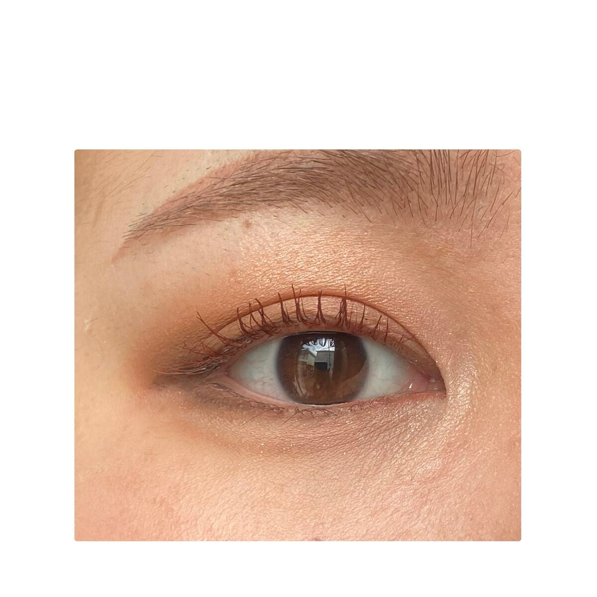 スリーディメンショナルアイズ/LUNASOL/アイシャドウパレットを使ったクチコミ(2枚目)