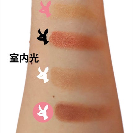 パレットアイシャドウ/&be/アイシャドウパレットを使ったクチコミ(3枚目)