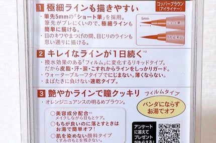 「密着アイライナー」ショート筆リキッド/デジャヴュ/リキッドアイライナーを使ったクチコミ(2枚目)