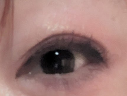 カールキープマジック/コーセーコスメニエンス/マスカラを使ったクチコミ(2枚目)