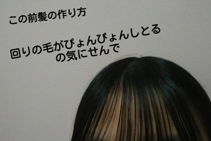 を使ったクチコミ(1枚目)