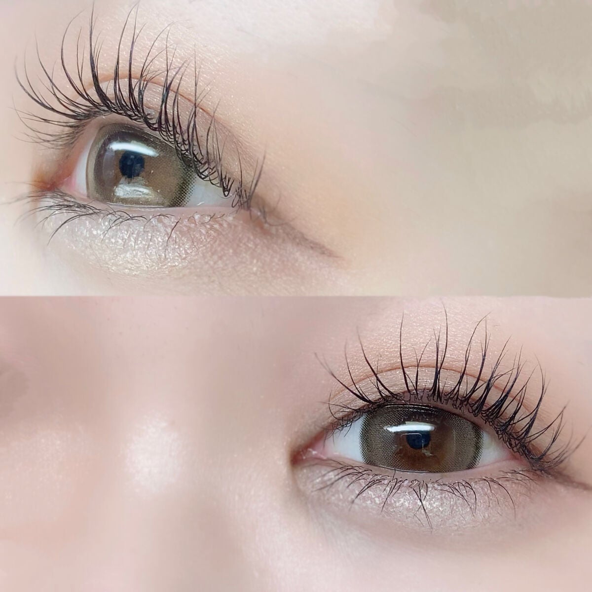 secretcandymagic 1day(シークレットキャンディーマジック)/secret candymagic/ワンデー(1DAY)カラコンを使ったクチコミ(6枚目)