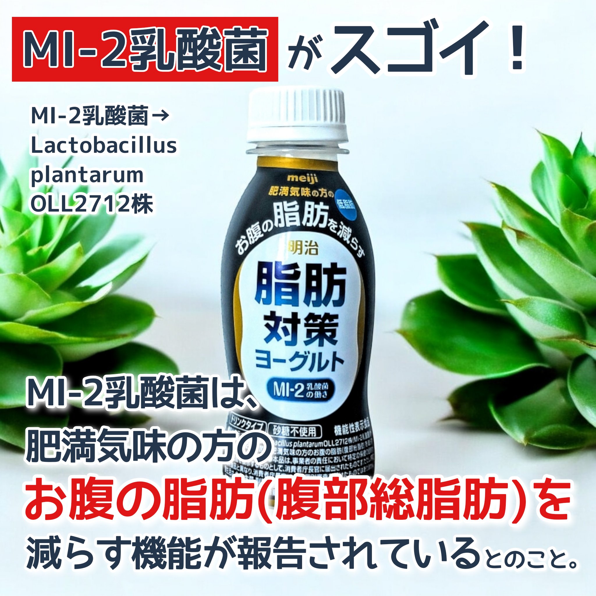 明治脂肪対策ヨーグルトドリンクタイプ/明治薬科/飲むヨーグルトを使ったクチコミ（2枚目）