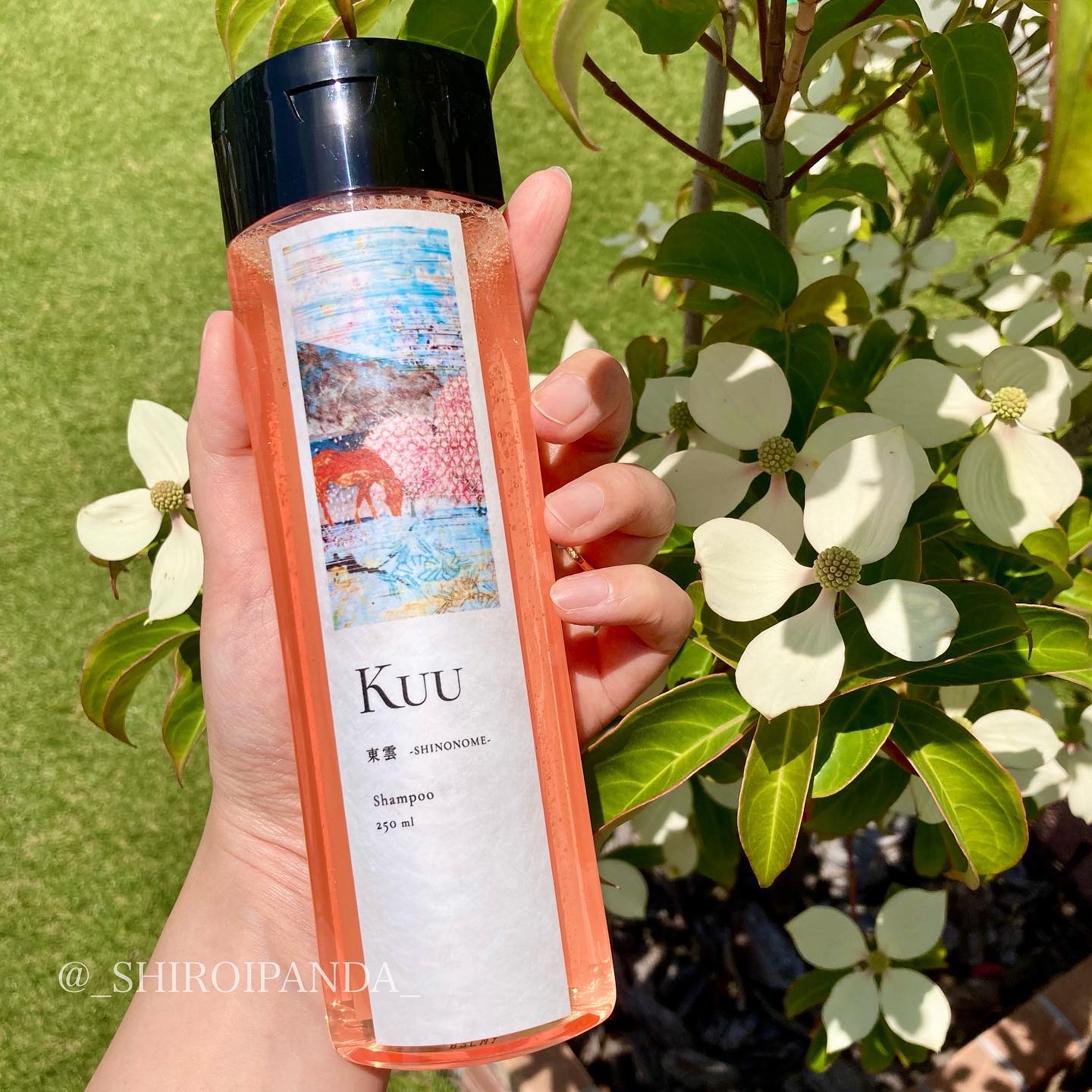 Kuuシャンプー 東雲 -SHINONOME-/Kuu/サロンシャンプーを使ったクチコミ（2枚目）