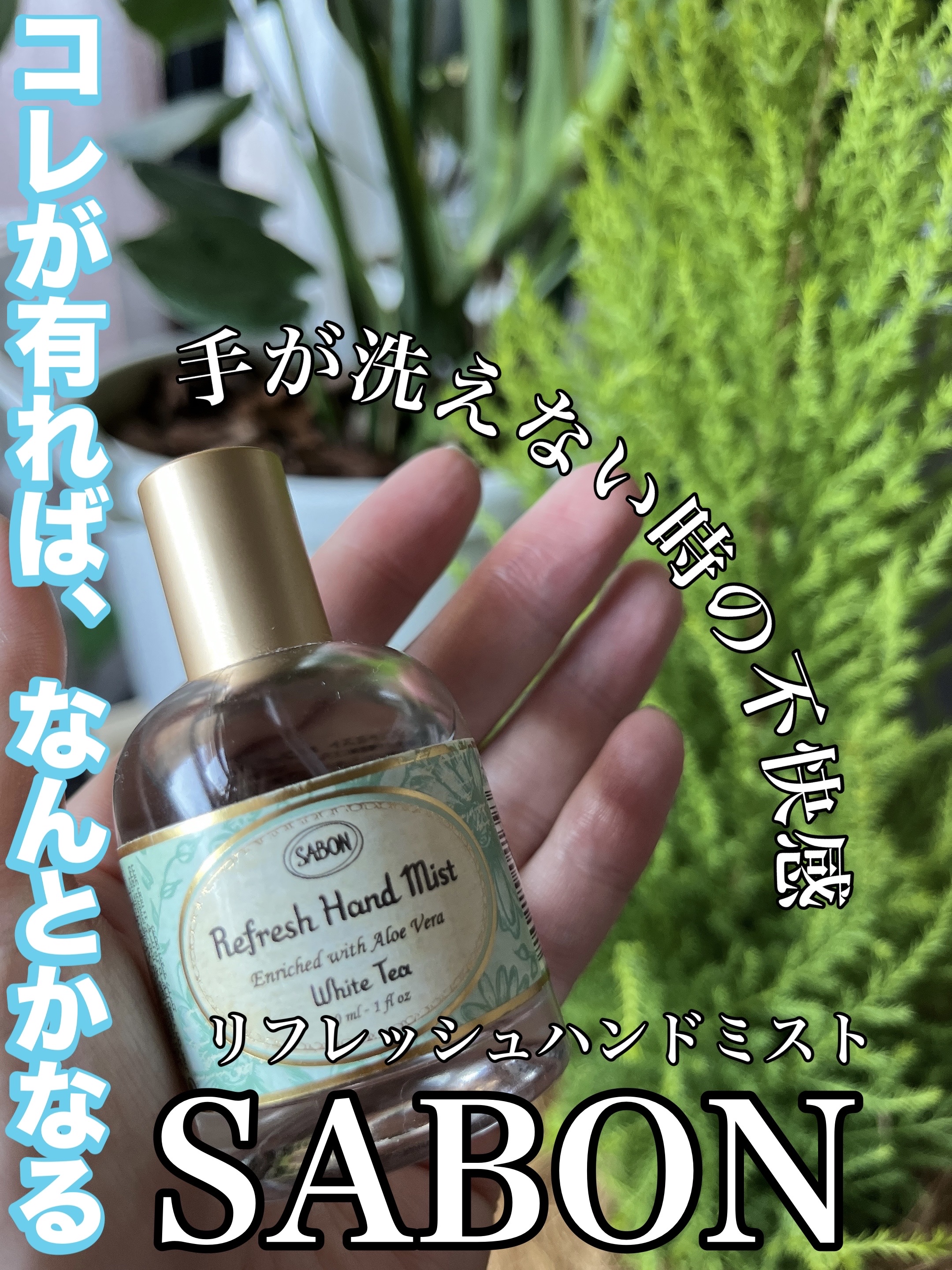 リフレッシュハンドミスト/SABON/ハンドクリームを使ったクチコミ（1枚目）