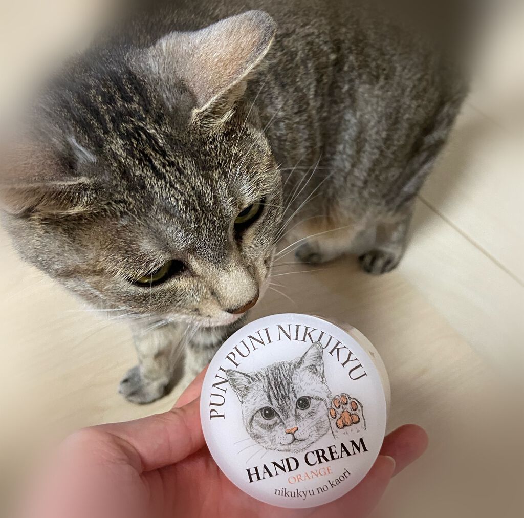 NIKUKYU NO KAORI ハンドクリーム (あの猫(こ)とおそろい!?プニプニ肉球の香りハンドクリーム)/フェリシモ/ハンドクリームを使ったクチコミ(2枚目)