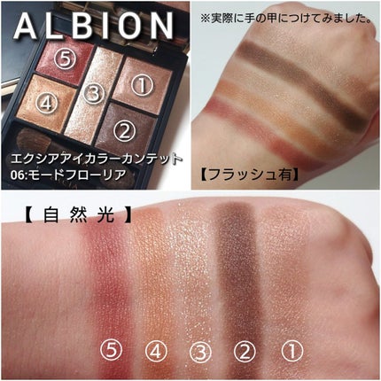 エクシア アイカラー カンテット/ALBION/アイシャドウパレットを使ったクチコミ(4枚目)