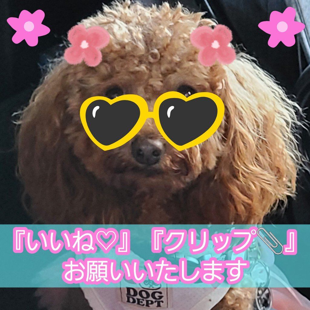 ショコラスウィート アイズ/リンメル ロンドン/アイシャドウパレットを使ったクチコミ（3枚目）