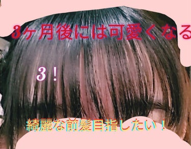 オイルトリートメント #EXヘアオイル/ルシードエル/ヘアオイルを使ったクチコミ（1枚目）