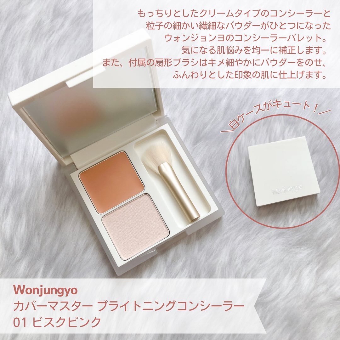 ウォンジョンヨ　カバーマスター ブライトニングコンシーラー/Wonjungyo/パレットコンシーラーを使ったクチコミ（2枚目）