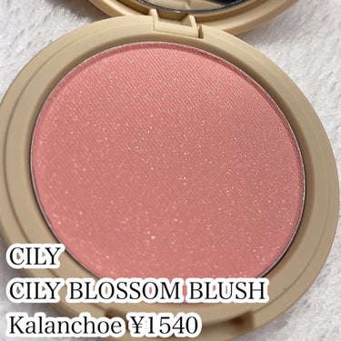 ブロッサムブラッシュ  #KALANCHOE/CILY/パウダーチークを使ったクチコミ（2枚目）